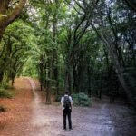 man standing in the middle of woods